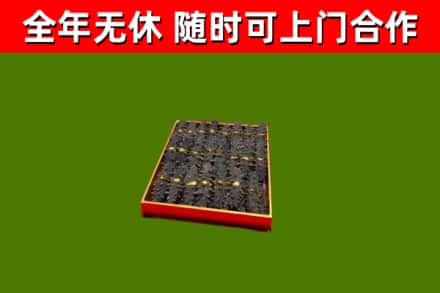 泗水县回收海参